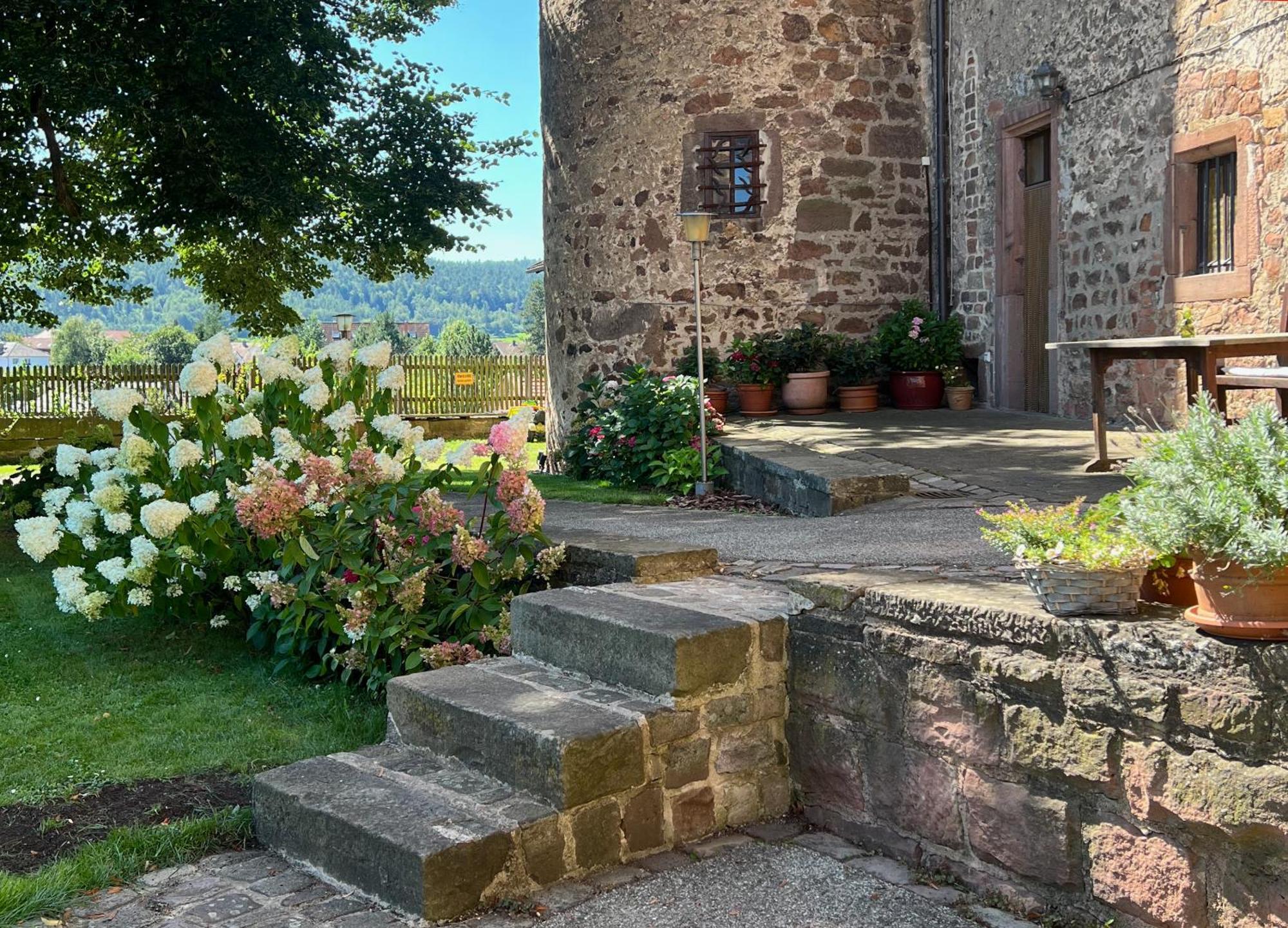 Alte Foersterei - Elegantes Apartment In Der Historischen Hinterburg Schlitz - Nahe Fulda Und Bad Hersfeld Exteriér fotografie